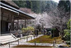 常照皇寺